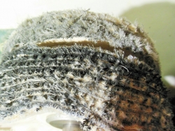 Dobře orovnaný kotouč s nánosem pasty